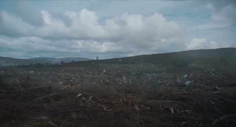 (TREE THUDS)