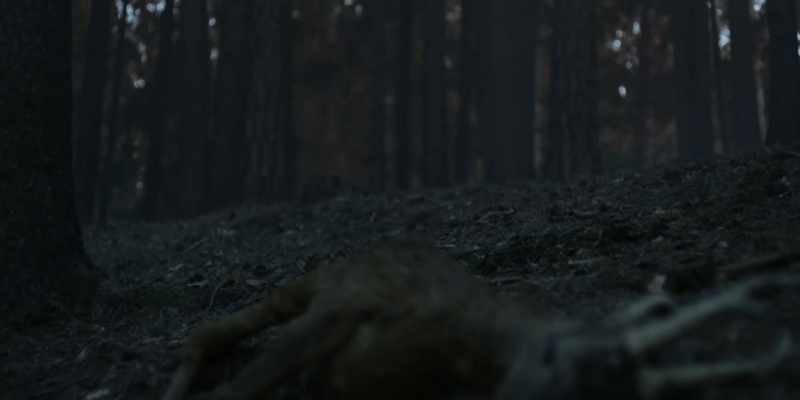 (trees rustling)