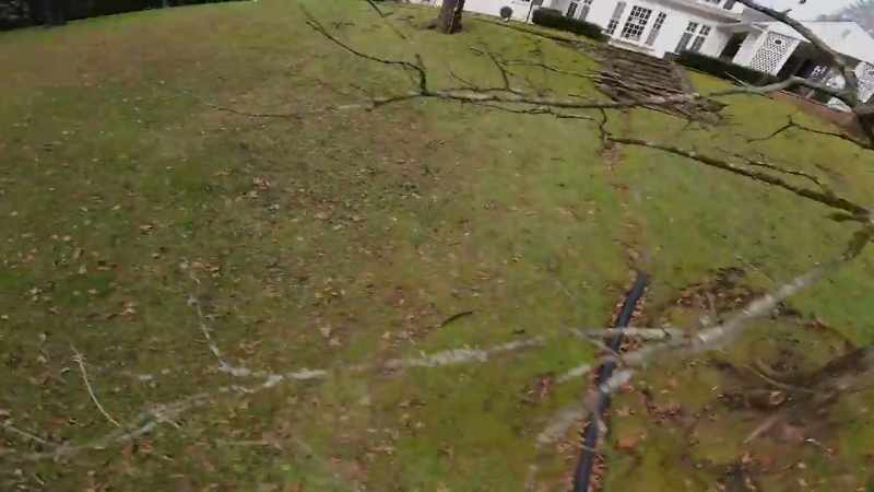 Trees will gobble you up and not let you fall