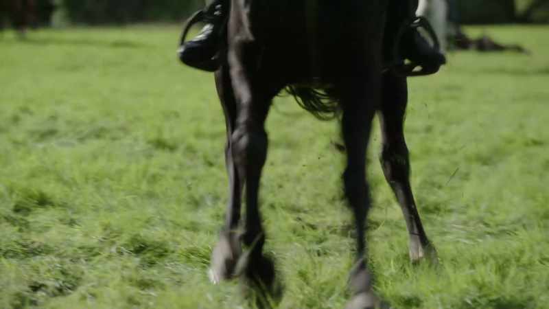 (Triscuit neighs) Whoa!