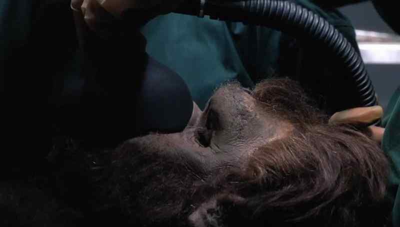 (Trog breathing deeply)