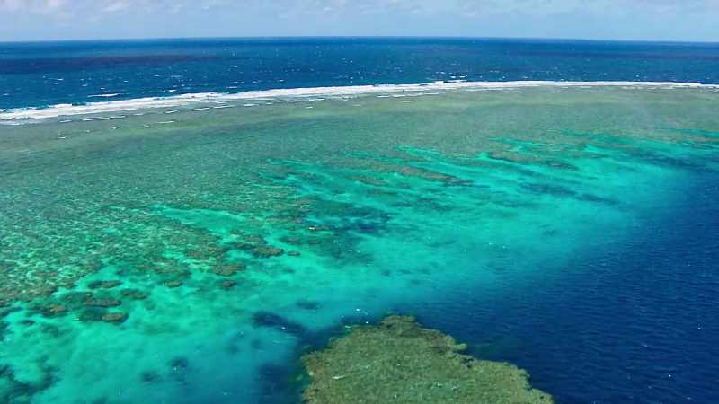 Tropical coral reefs