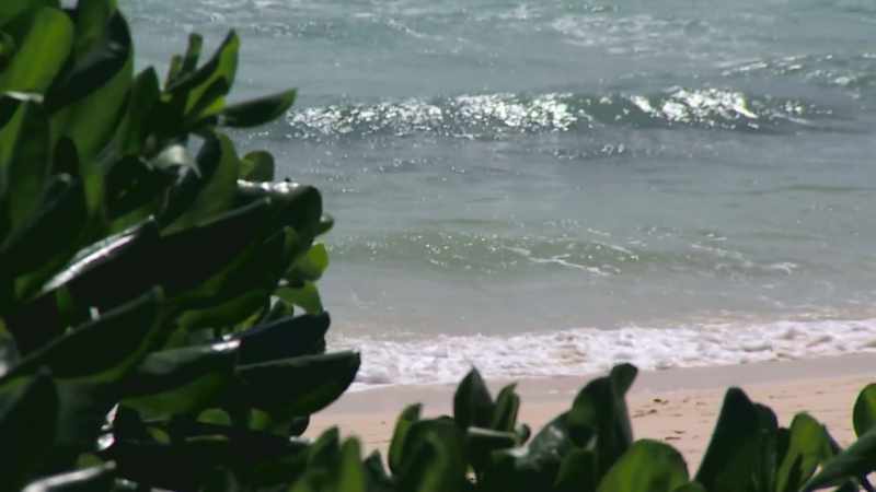 (tropical music) ♪