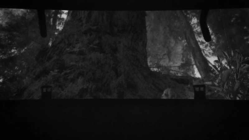 (trunk opens) - (rain pattering)