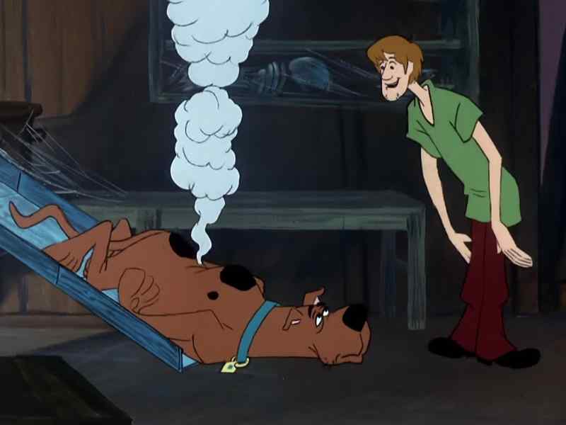 Trying to make a clean getaway, huh, Scooby?