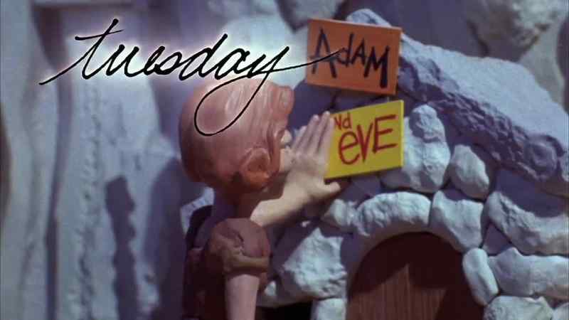 'Tuesday