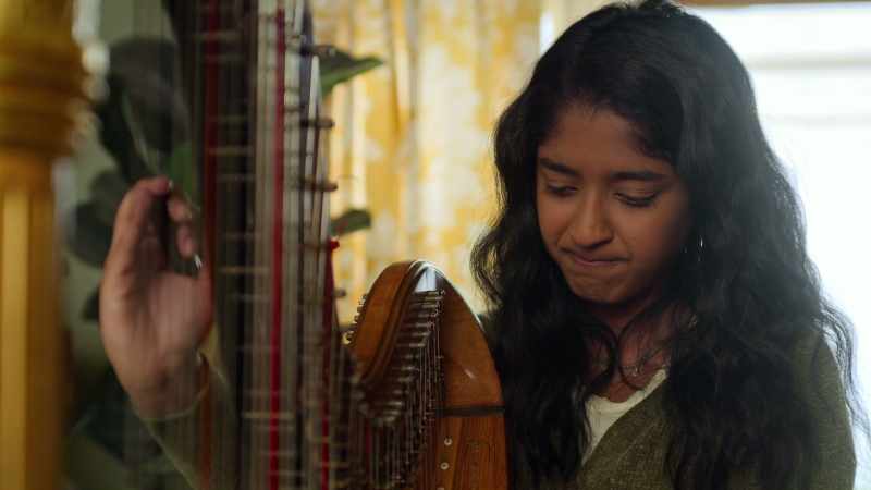 [tuning harp]