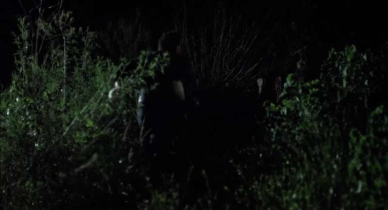 Turn around Bert I wanna shoot you in the back