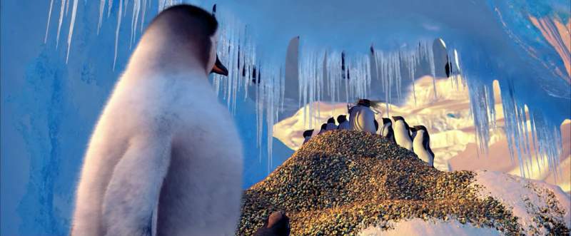 Turn to the penguin next to you