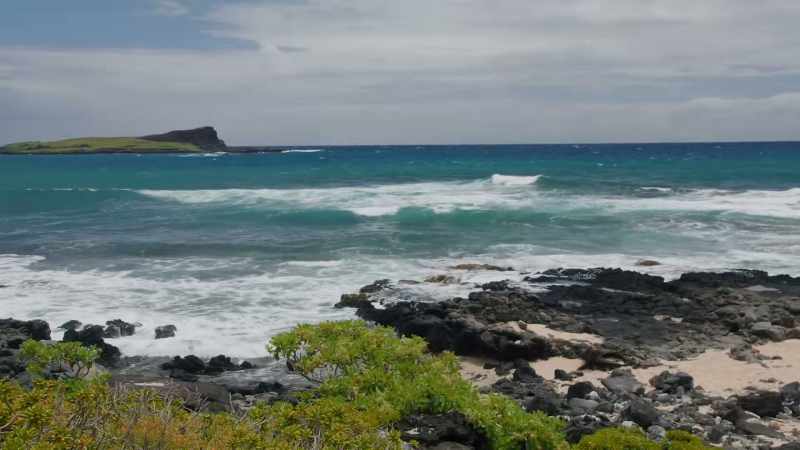 Turtle Cove. - At least that's what we call it