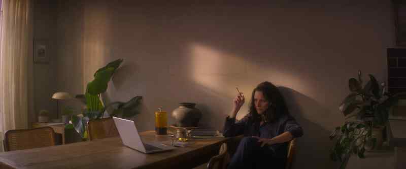 (TV SHOW PLAYING ON LAPTOP)