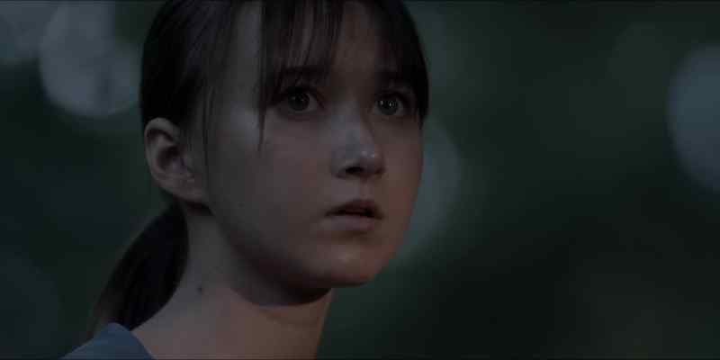 [twig breaks]