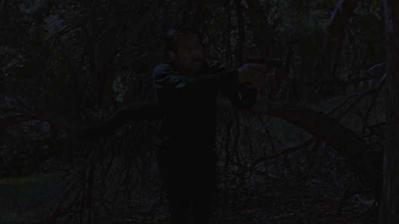 (twigs breaking)