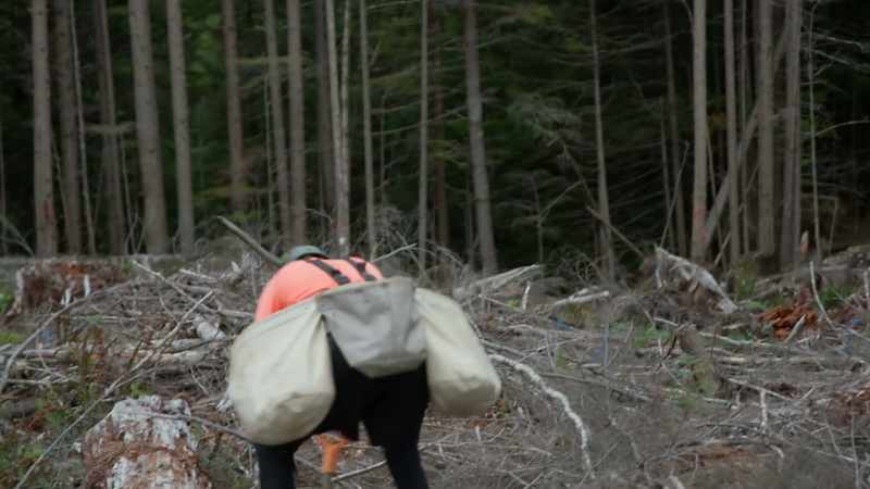 (twigs crunching)