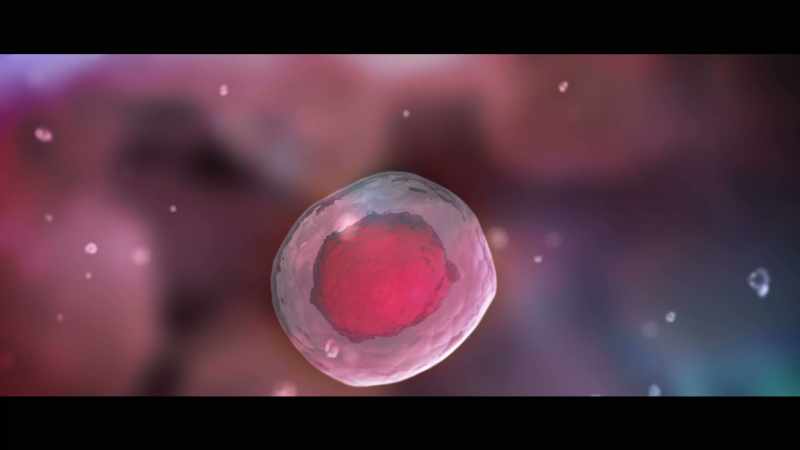 Two cancer cells never killed anyone
