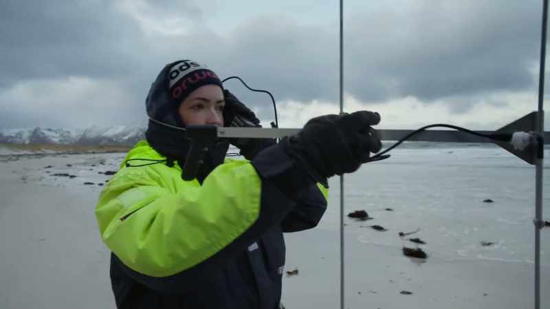 Two days after tagging an orca