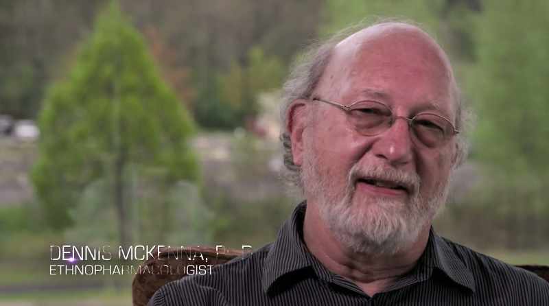 Two million years is nothing when it comes to evolution