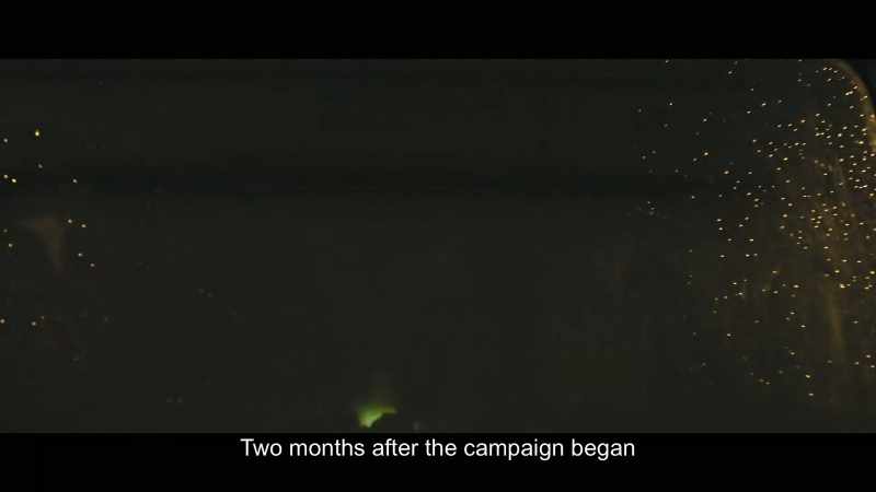 Two months after the campaign began