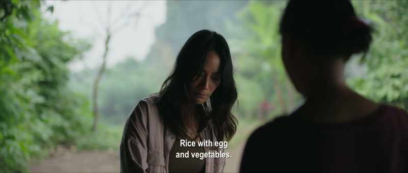 Two rice with egg and vegetables