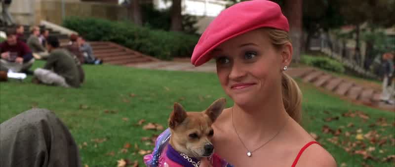 Oh Two weeks ago I saw Cameron Diaz at Fred Segaland I talked her out of buying this truly heinous angora sweaterWhoever said orange was the new pink was seriously disturbed
