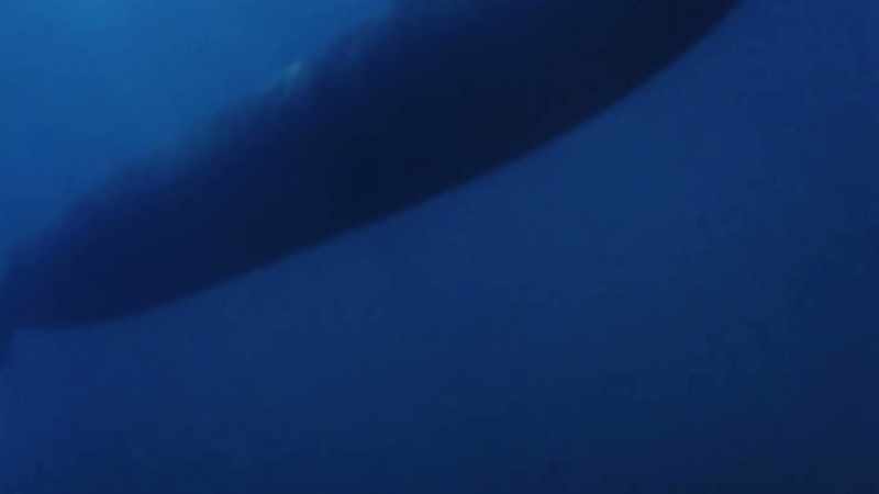 UFOs... nobody's talking about looking down into the water