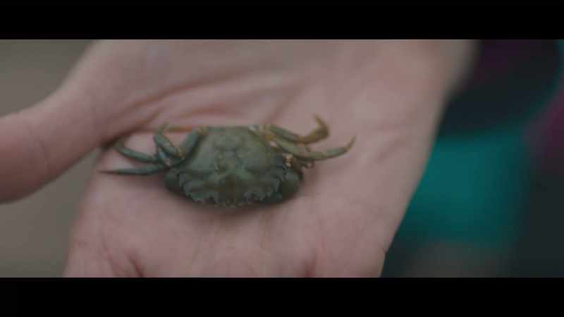 Ugh! Oh, I hate spiders! - It isn't a spider. It's a crab