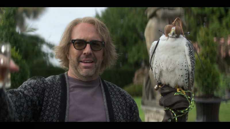 Uh... And this is my falcon, Maverick