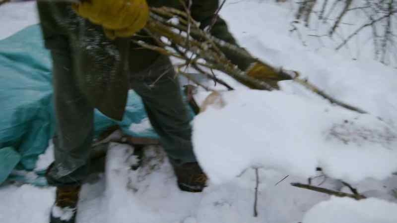 UH, DIG OUT SOME WILLOWS