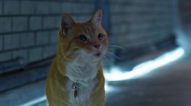 Uh Garfield