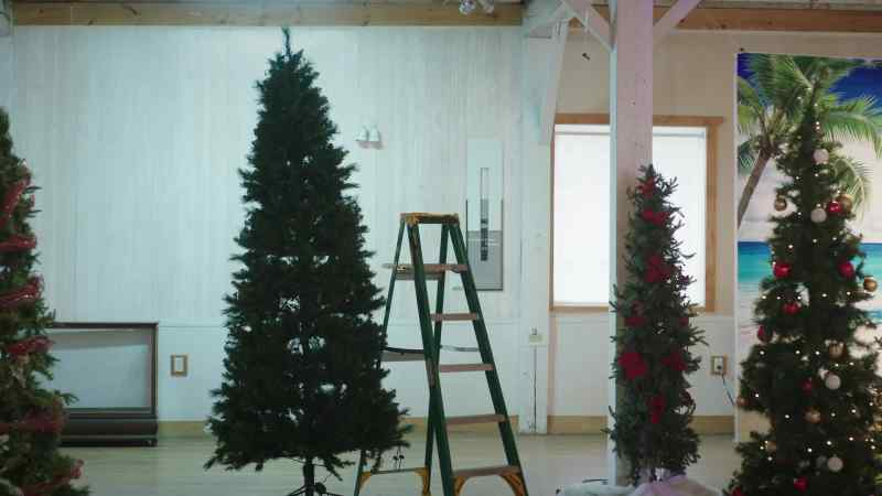 Uh, I'm confused. If that's already your tree