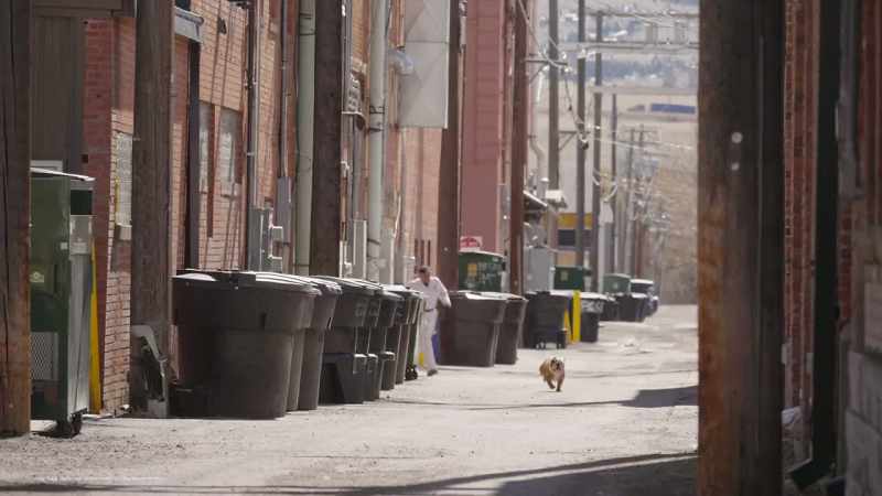 Uh-oh! Run!