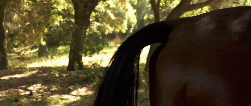 Uh, that was my horse