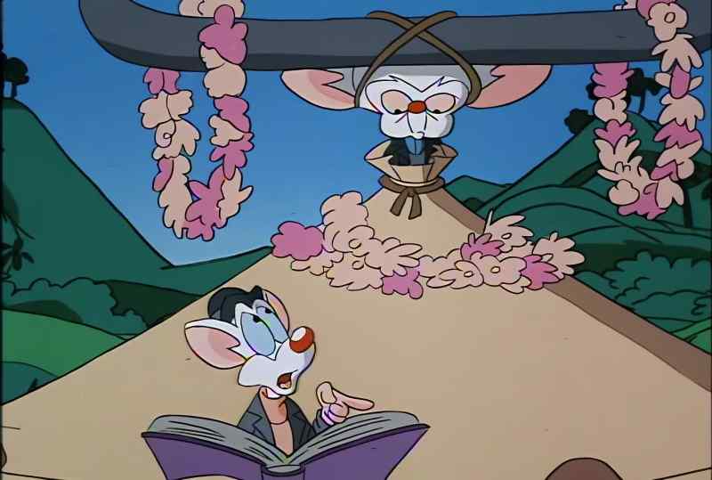 UH, THERE'S SOMETHING YOU OUGHT TO KNOW, BRAIN