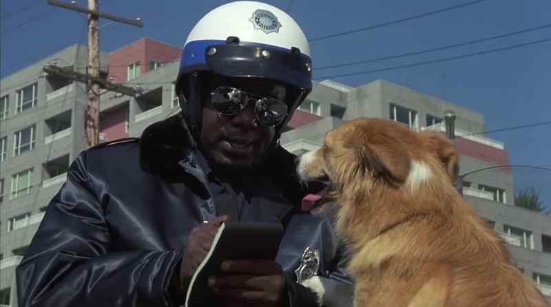 UH, YOU SEEM LIKE A NICE ENOUGH POOCH