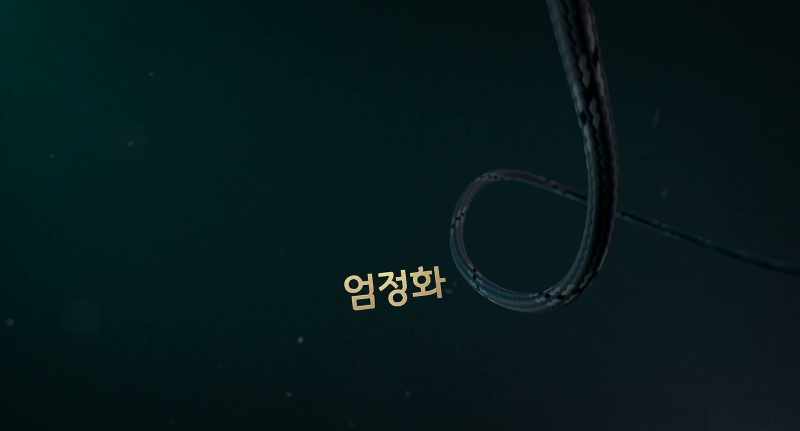 Uhm Jung-hwa