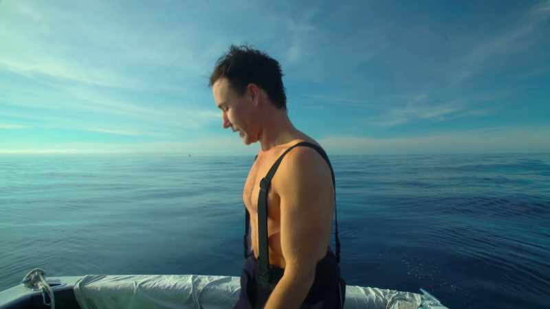 Um, both the blue shark and the thresher shark were still alive
