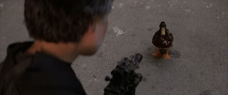 Um... Calm down. It's just a duck. - Where's the GHOST? - I have it. Bring it here!
