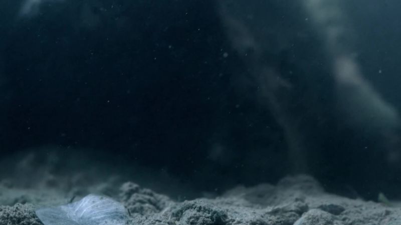 Unbalanced oceans are open to invasion