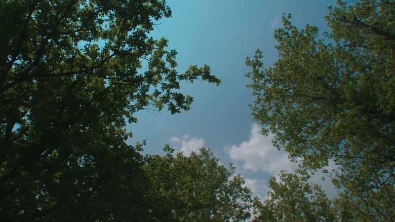 Under a June blue sky waving her scarf to greet us