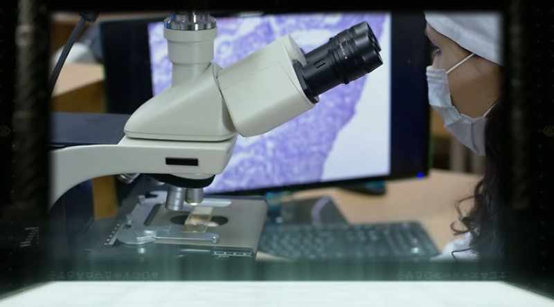 Under extreme magnification