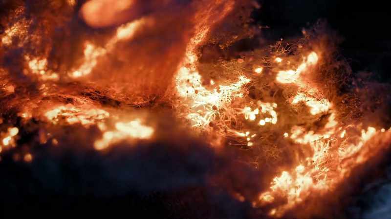 Under the smoke and the ashes, the paradise vanished
