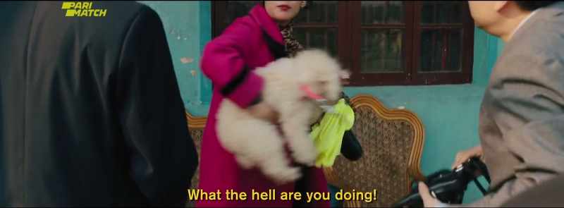 Understand? - Miss Wang, please calm down
