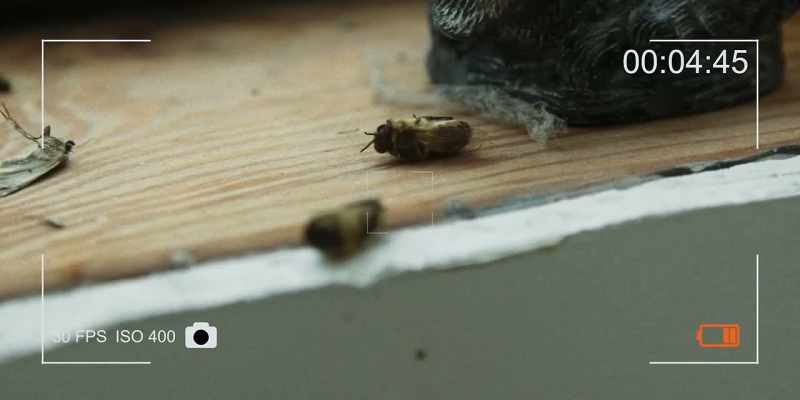 Une horrible tragédie mais une tragédie inévitable