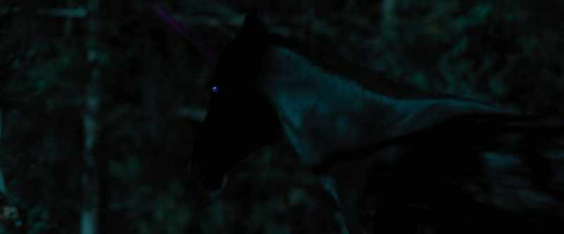 [unicorn growls]