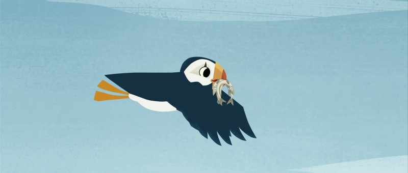 Unlike puffins
