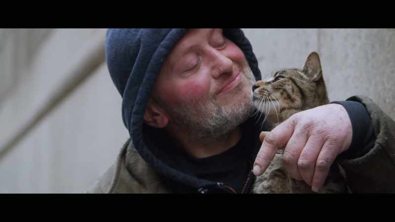 Unquestionably, cats and all pets