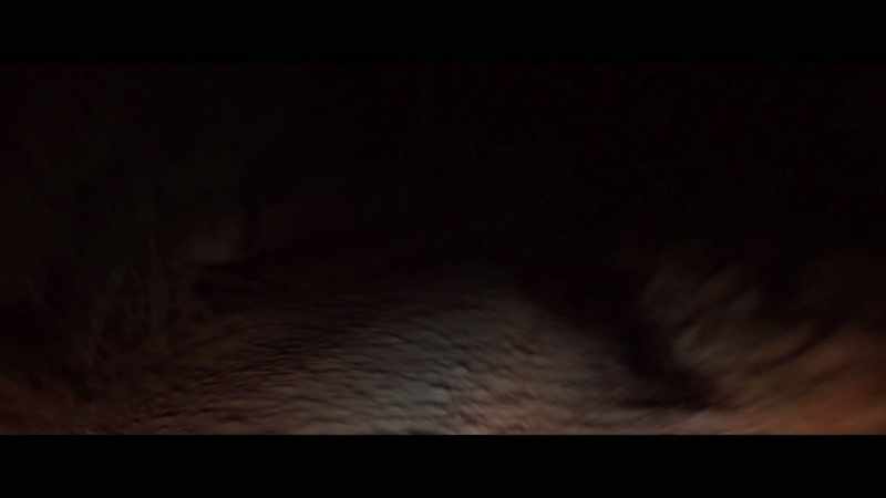 [unsettling music]