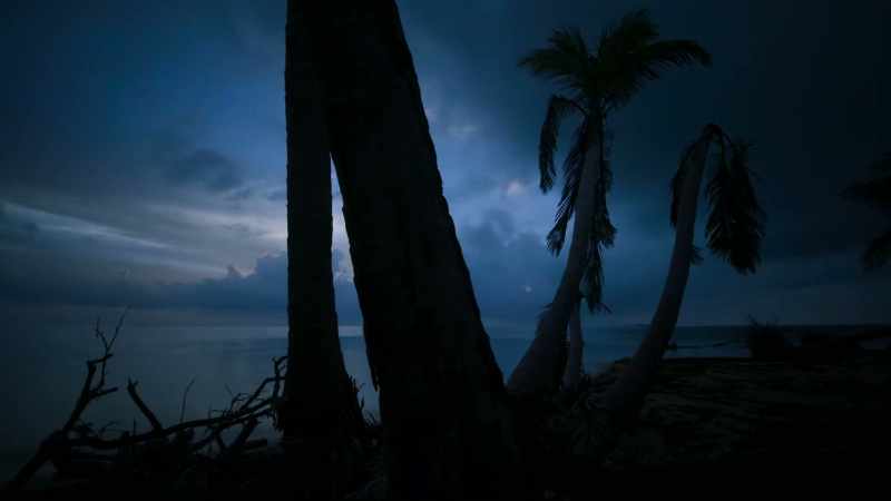 Until it's time to come ashore