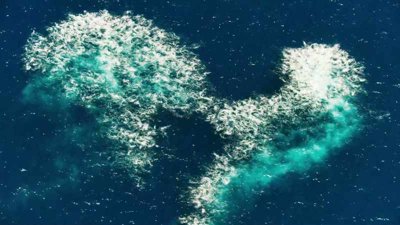 Until now, this feeding frenzy