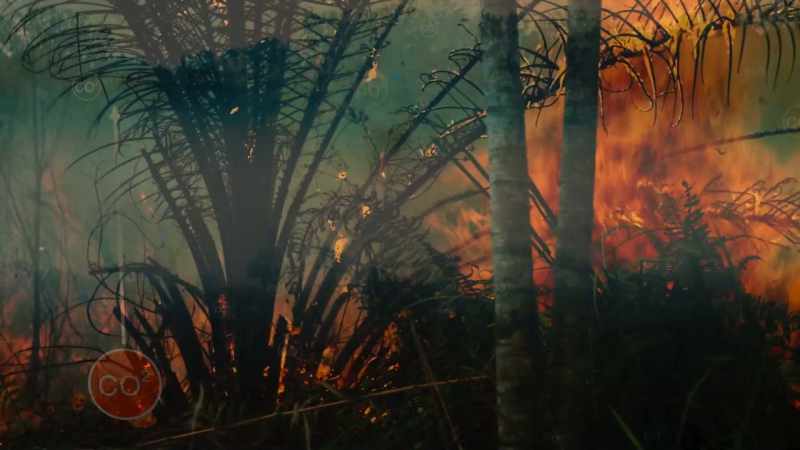 UNTIL WE CLEAR THEM, AND LIGHT THEM ON FIRE